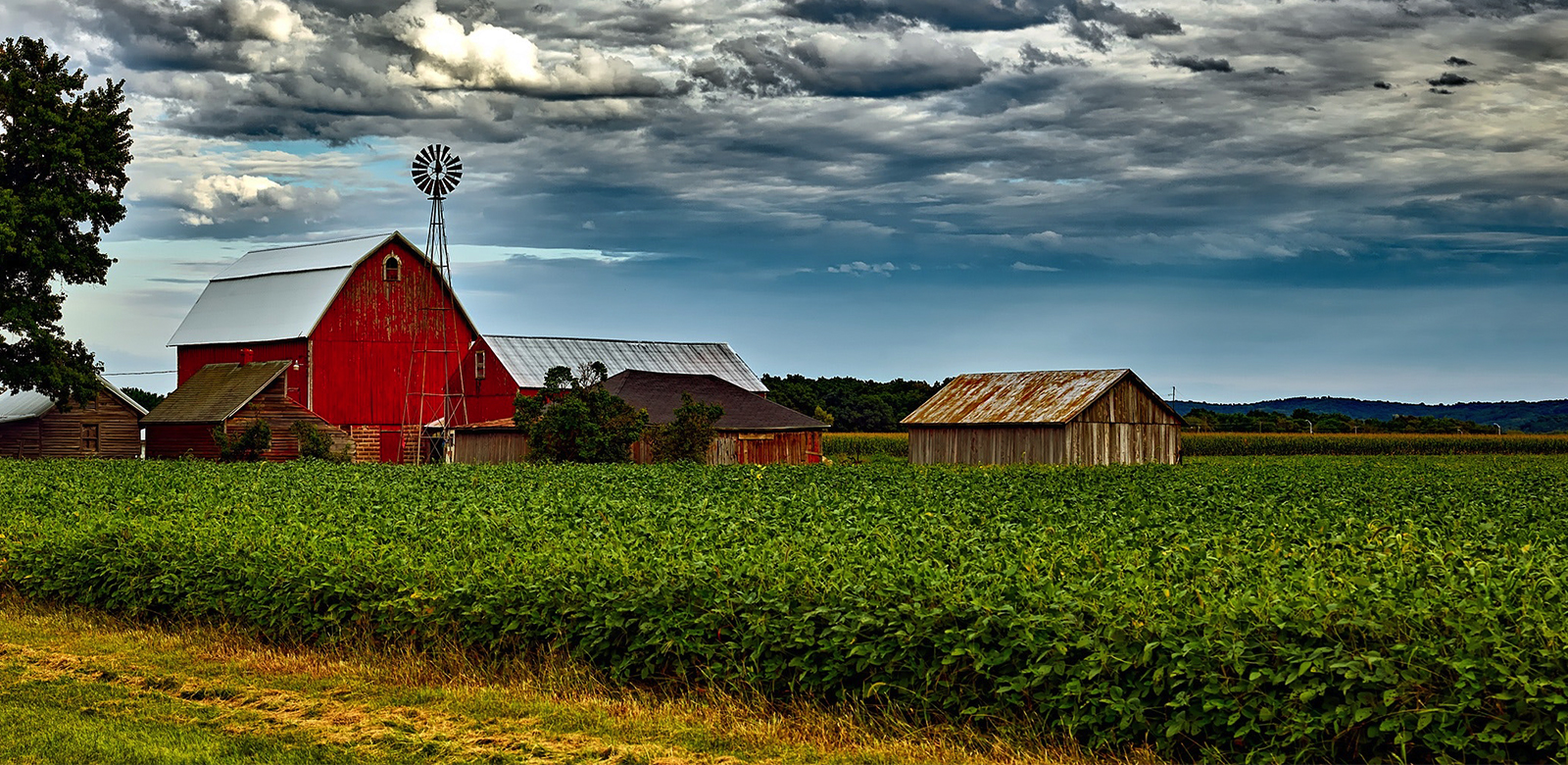 how-does-water-quality-affect-farms